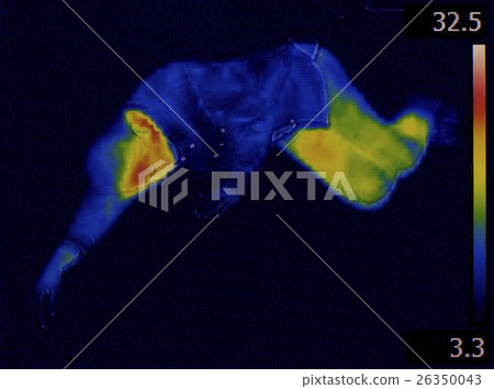 Infrared Human Body 26350043