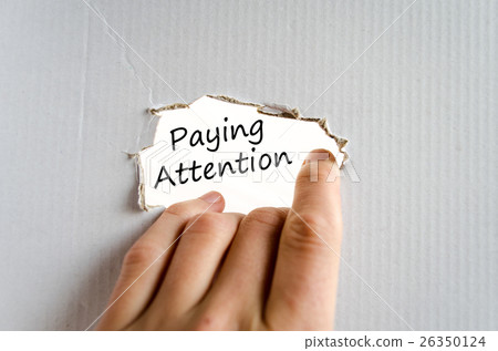 Paying attention text concept Paying attention text concept 26350124