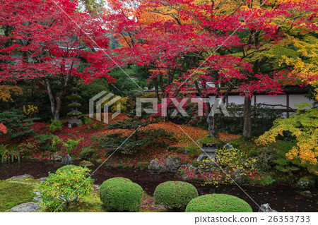 Autumn leaves in Kyoto 26353733
