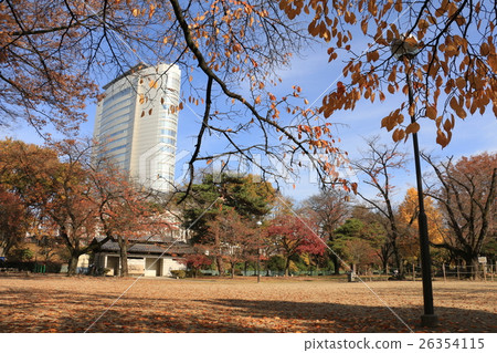 Takasaki Park in autumn 26354115