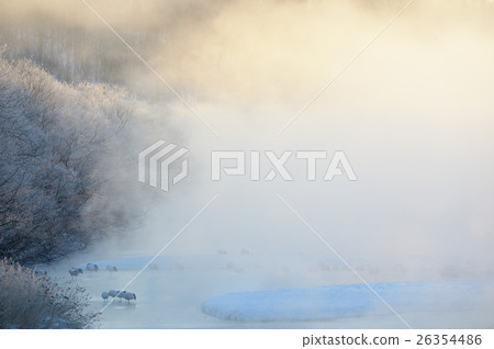 Chaotic rooster that Chaoyang plugs in 26354486