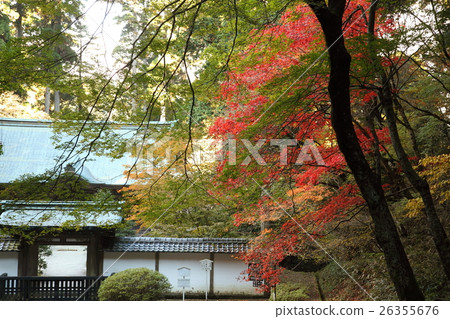 Autumn leaves of Hieiyama Enryakuji West tower Jodoin 26355676