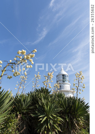 Atsuba Kimigayoran's blooming lighthouse Atsuba Kimigayoran's blooming lighthouse 26355682