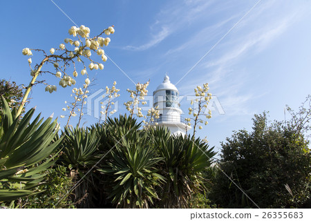 Atsuba Kimigayoran's blooming lighthouse 26355683