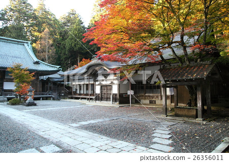 Hieiyama Enryakuji四季禮堂秋葉 26356011