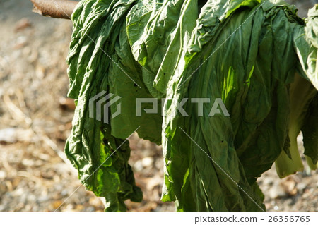 Dried vegetables 26356765