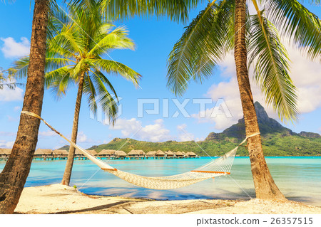 Empty hammock between palm trees on tropical beach 26357515