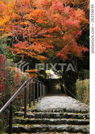 Autumn leaves of Tokaido Tokoro Ohara West ... Autumn leaves of Tokaido Tokoro Ohara West ... 26359036