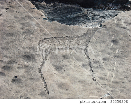 Stone with wild animal petroglyph 26359298