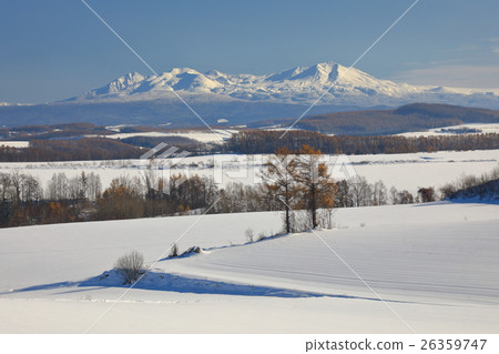 Biei-cho winter landscape Two Karamatsu and Asahidake Biei-cho winter landscape Two Karamatsu and Asahidake 26359747