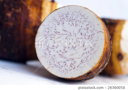 芋頭，taro，里芋，大甲芋頭,Large taro,大甲の里芋、 26360058