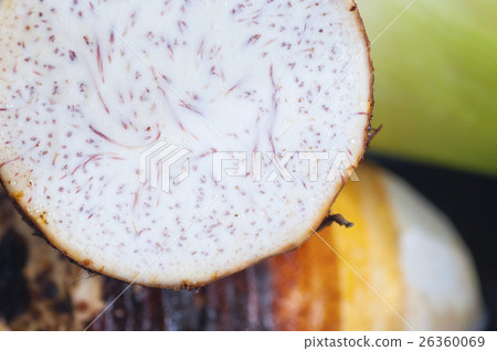 Taro, taro, lieutenant, big armor, Large taro, big armor, 26360069