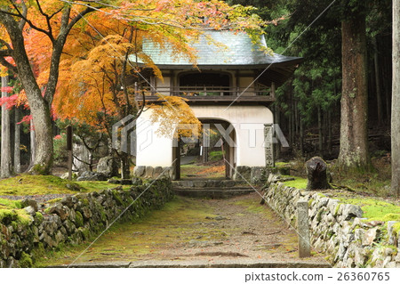 秋葉和Kotoshidani Amida寺的山門 26360765