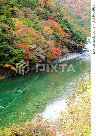 Yushin Valley(秋季) Yushin Valley(秋季) 26360965