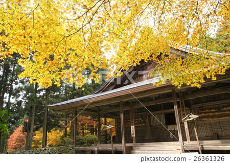 Autumn leaves of Welcoming College Autumn leaves of Welcoming College 26361326