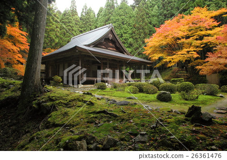 Autumn leaves of Welcoming College Autumn leaves of Welcoming College 26361476