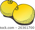 Navel orange 26361700