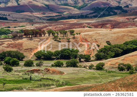 Traditional Madagascar hill landscape Traditional Madagascar hill landscape 26362581