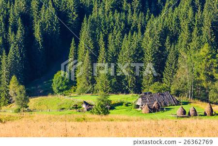 Summer mountain view (Carpathian, Ukraine). 26362769