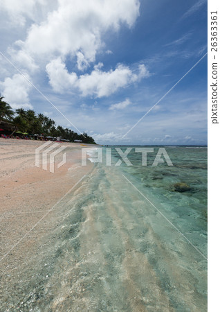關島可可棕櫚園海灘 關島可可棕櫚園海灘 26363361