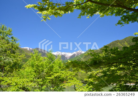 Komagatake mountain of fresh green 26365249