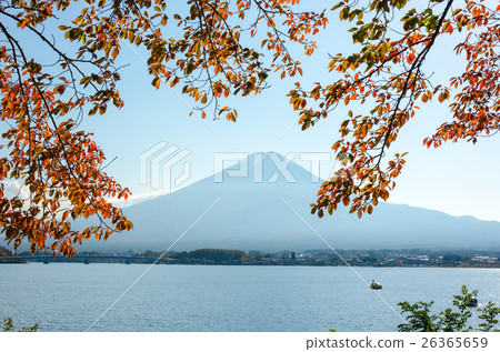 Kawaguchiko在秋天 26365659