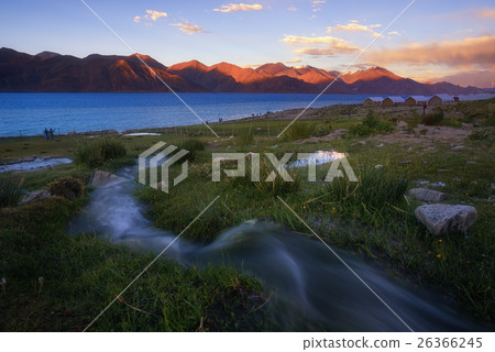 Pangong lake view with small river in evening Pangong lake view with small river in evening 26366245