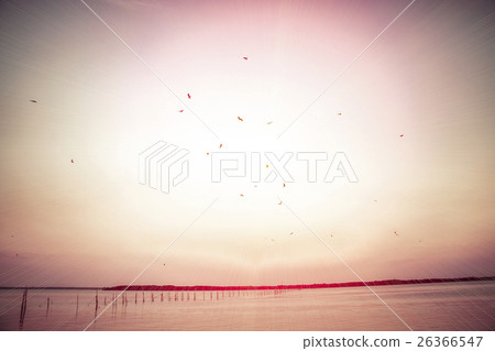 houses on piles on water at the time sunset houses on piles on water at the time sunset 26366547
