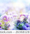 beautiful flowers made with color filters 26368128