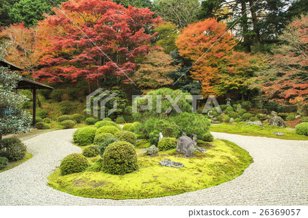 Autumn leaves at Manshuin Temple Autumn leaves at Manshuin Temple 26369057