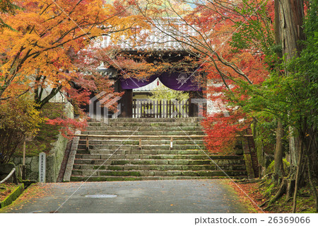 Autumn leaves at Manshuin Temple Autumn leaves at Manshuin Temple 26369066