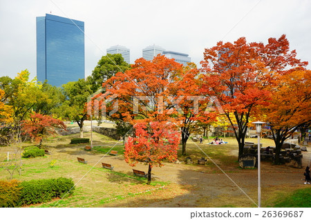 Osaka Castle Park Autumn leaves 26369687