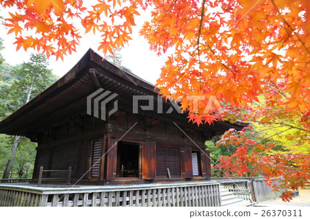 阿米達多的秋天〜2016年 阿米達多的秋天〜2016年 26370311