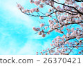 Blue sky and cherry blossoms 26370421