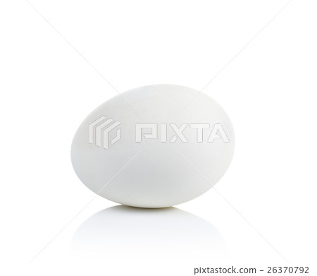 preserved  duck egg on white background 26370792