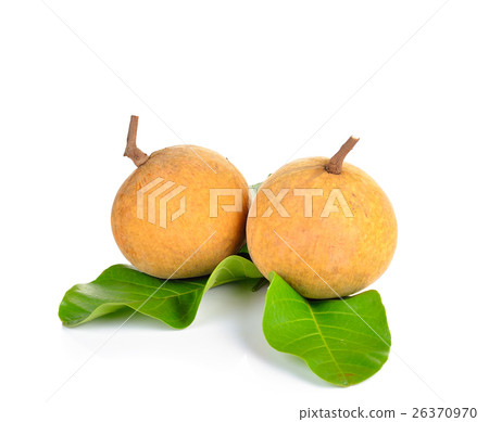 Santol fruit isolated on white background Santol fruit isolated on white background 26370970