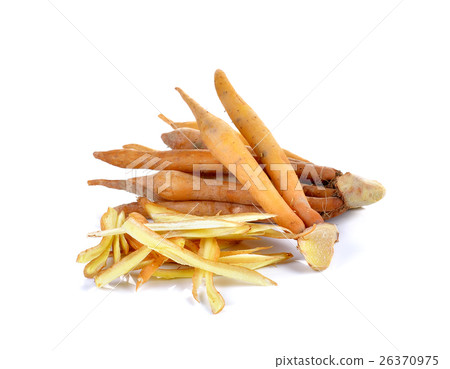 finger root on white background. finger root on white background. 26370975