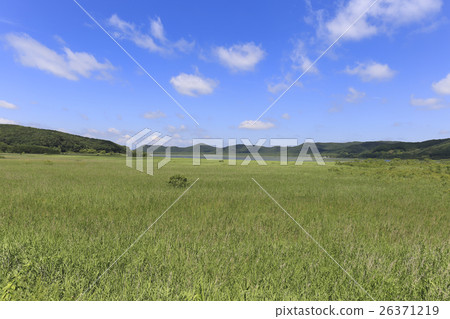 北海道·釧路沼澤附近的草原火山口湖Takocho湖 北海道·釧路沼澤附近的草原火山口湖Takocho湖 26371219