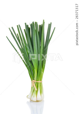 Green Onion on white background Green Onion on white background 26371317