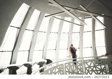 Luxury married wedding couple, bride and groom 26373015