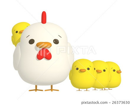 Chickens and chicks 26373630
