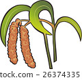 Millet 26374335