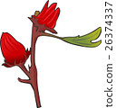 Luo Shen Luo Shen Kui Roselle Luohua 26374337