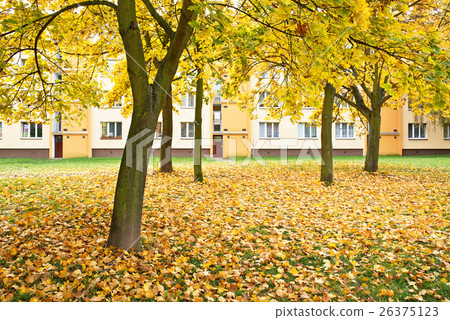 Block of flats in the park in the autumn Block of flats in the park in the autumn 26375123