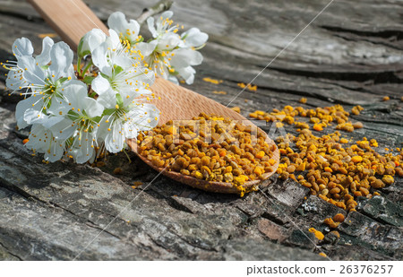 Bee pollen in a wooden spoon and flowers of spring Bee pollen in a wooden spoon and flowers of spring 26376257