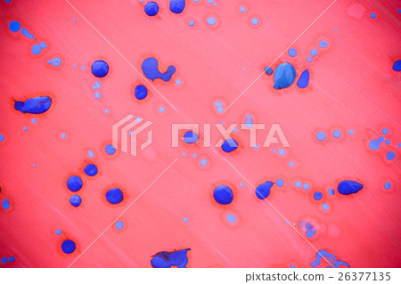 pink background with drops of blue pink background with drops of blue 26377135