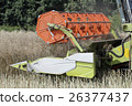 Combine Harvesting Rape 26377437
