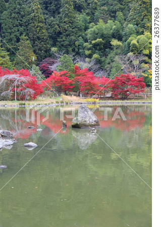 淨土地花園的歷史遺址Shirahama Amidado邊界秋天 -  2016年 26377689