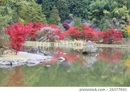 淨土地花園的歷史遺址Shirahama Amidado邊界秋天 - 2016年 淨土地花園的歷史遺址Shirahama Amidado邊界秋天 - 2016年 26377691