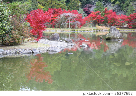 淨土地花園的歷史遺址Shirahama Amidado邊界秋天 -  2016年 26377692